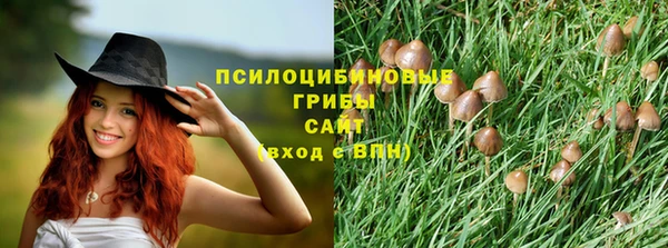 стаф Абинск