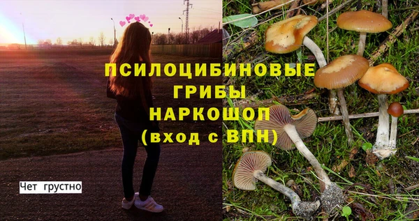 меф Алзамай