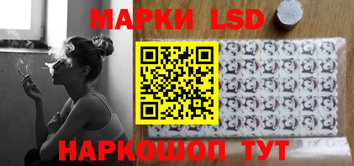 Конопля Вологда