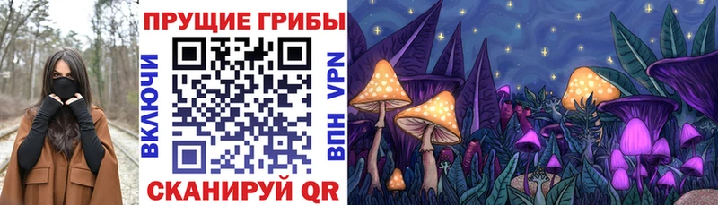 это формула  Вологда  Псилоцибиновые грибы Psilocybe 