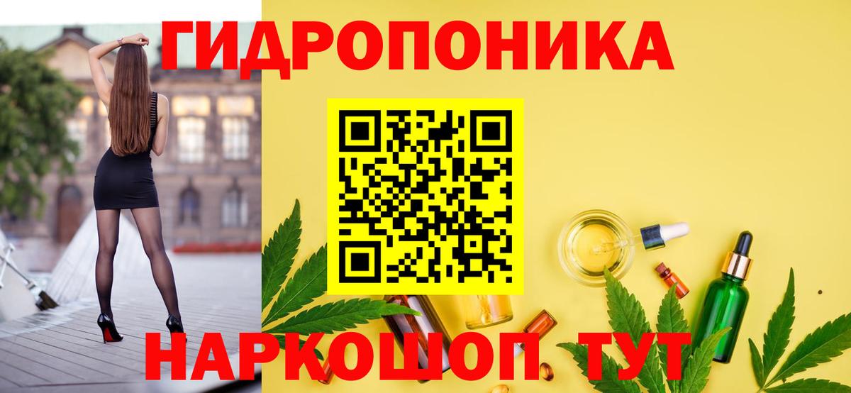 Шишки марихуана семена Вологда